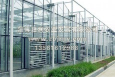 溫室大棚逆溫現(xiàn)象的產(chǎn)生與防范